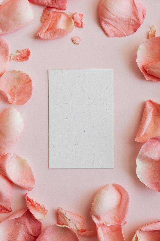 Love Letter