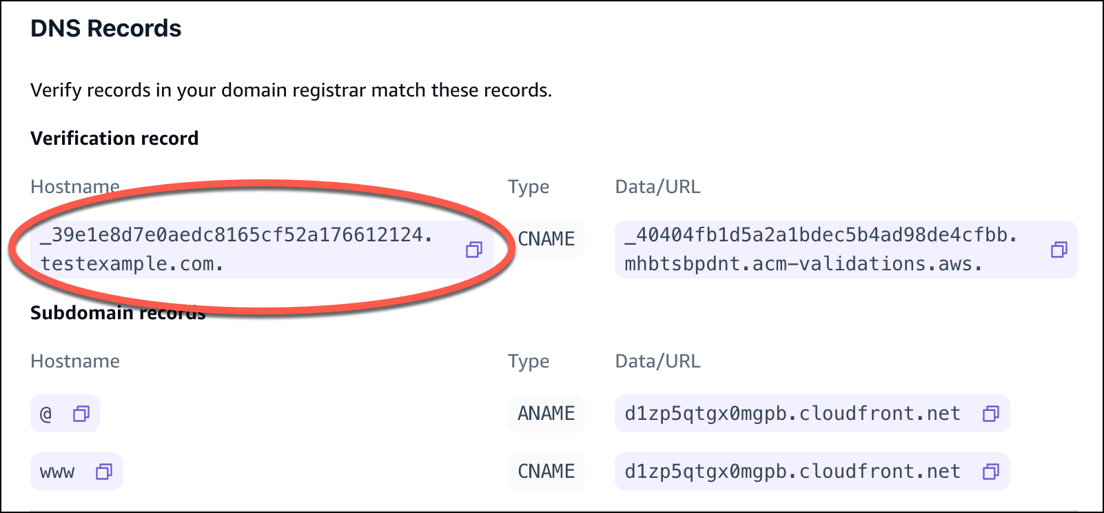 Der Abschnitt mit den DNS-Einträgen in der Amplify-Konsole, in dem der Datensatz zur Hostnamen-Verifizierung eingekreist ist.