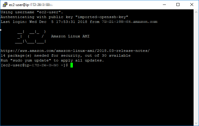 PuTTY ist mit einer EC2-Instance verbunden.