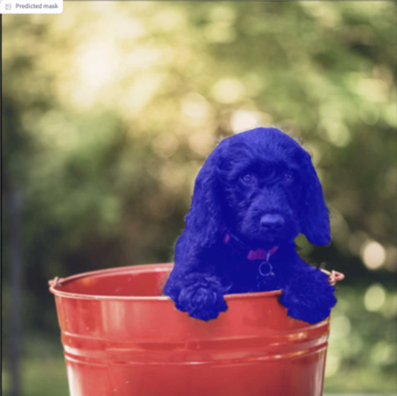 Ein Hund