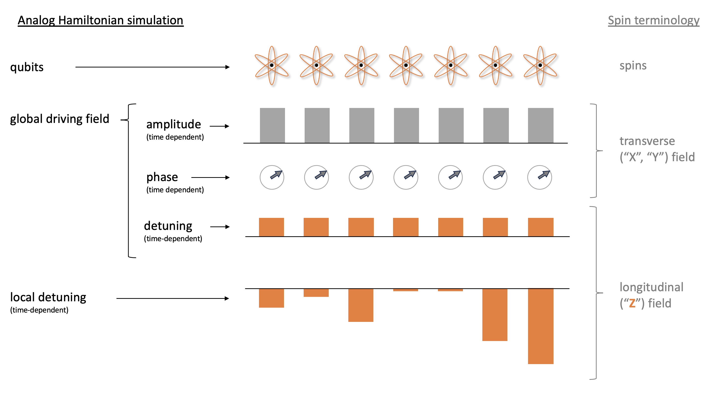 Simulación hamiltoniana analógica en terminología de espín, donde hay qubits, un campo de accionamiento global dependiente del tiempo y una desintonización local dependiente del tiempo.