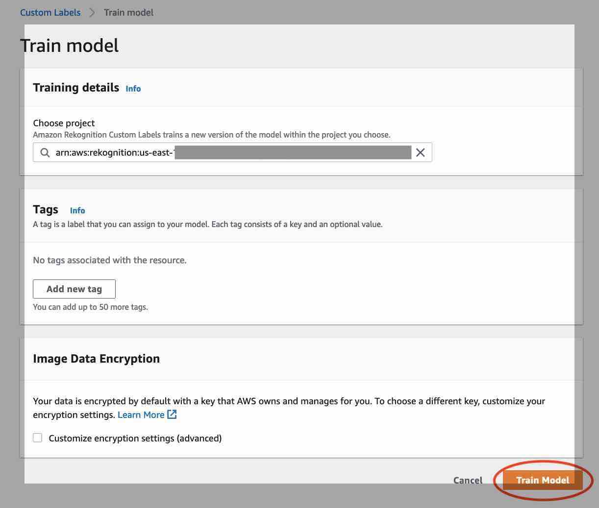 Página de configuración de entrenamiento de modelo que muestra el campo de entrada de ARN del proyecto, la sección de etiquetas vacía y el botón Entrenar modelo.