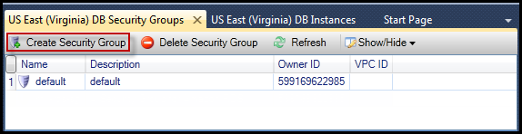 La pestaña Grupos de seguridad de base de datos muestra el grupo de seguridad predeterminado con las columnas de ID de propietario e ID de VPC.