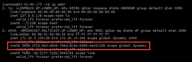 IPv6 configuré sur l'instance.