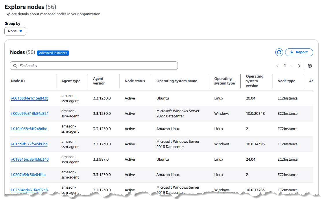 Une liste des nœuds gérés dans la page Explorer les nœuds