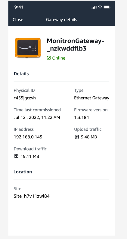 Pagina dei dettagli del gateway che mostra il nome, lo stato, l'ID fisico, l'indirizzo IP e i dati sul traffico del dispositivo.