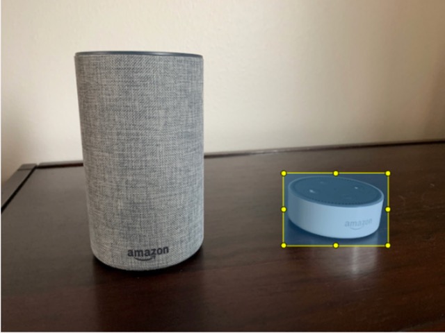 Dispositivi Amazon Echo Dot ed Echo, con bounding box attorno a Echo Dot.