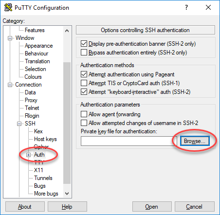 PuTTY の認証パラメータ。