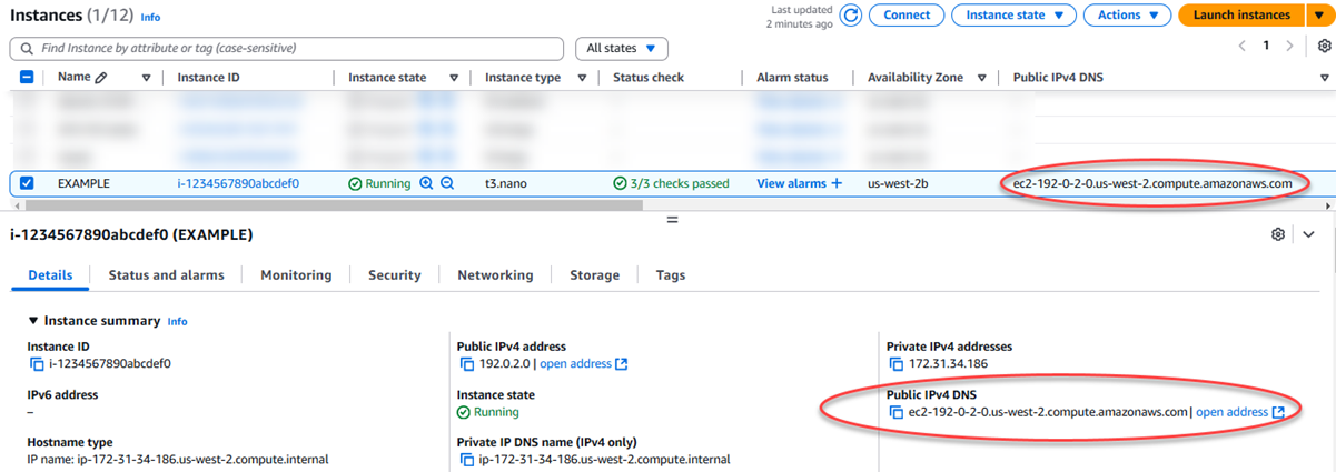 DNS público de uma instância no console do Amazon EC2.