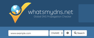 whatsmydns.net 應用程式，您可以在其中輸入要檢查的網站名稱。