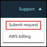 顯示提交請求和 AWS Billing 命令的支援選單。