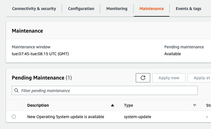 顯示 AWS 管理主控台 維護區段和可用作業系統更新的影像。