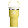 IceFlow™ Flip Straw Tumbler Pipetli Termos | 0.60 L