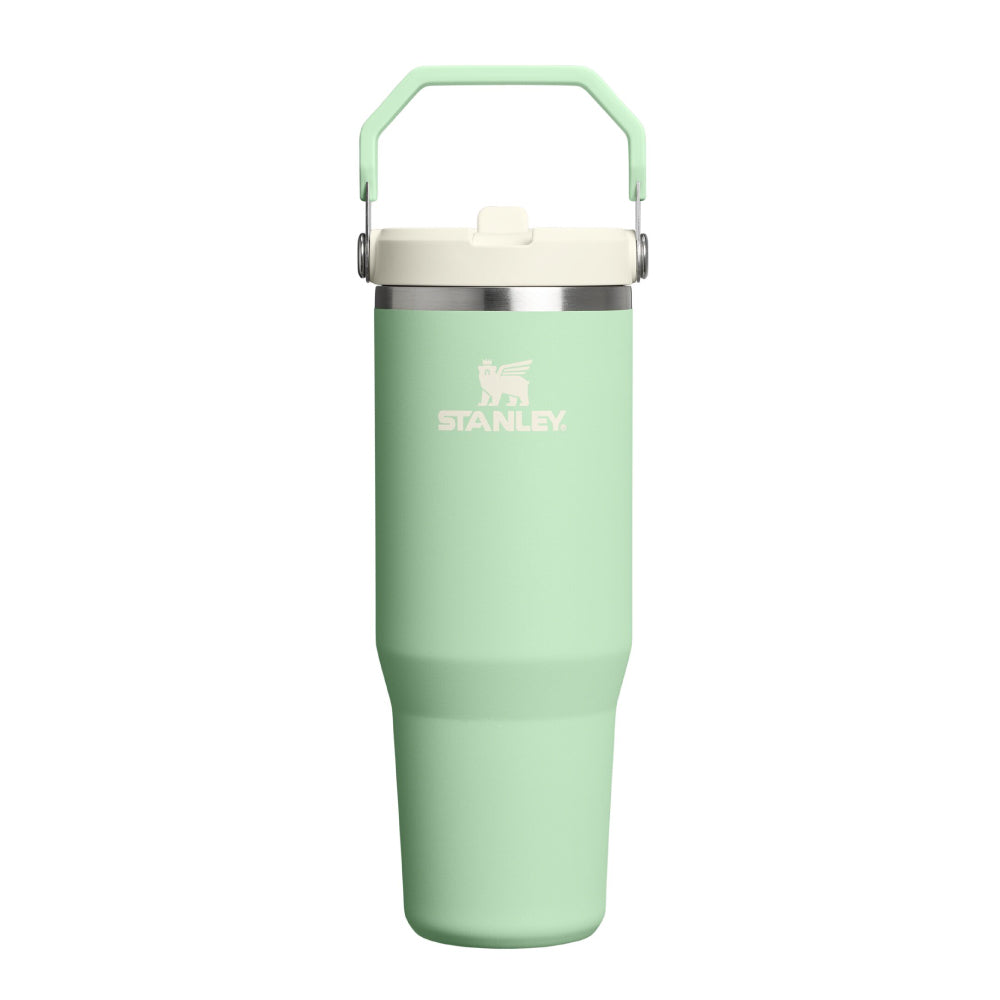 IceFlow 手提吸管杯2.0 | 0.88L | 開心果綠