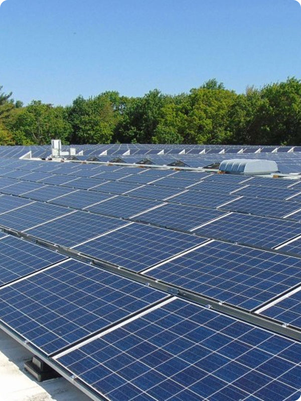Rooftop solar panels installed on a flat commercial building under a clear blue sky with trees in the background.