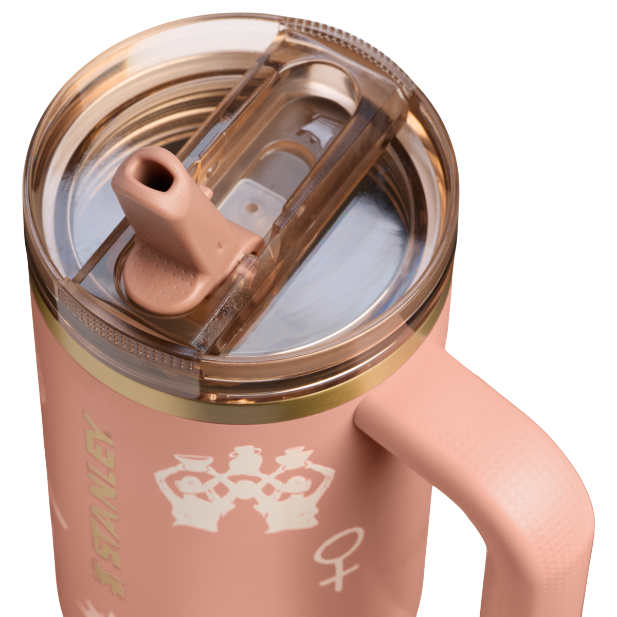 Stanley 1913 The Stanley 1913 x Nest Quencher® ProTour Flip Straw Tumbler 30 OZ in Her Symbols, Her Story