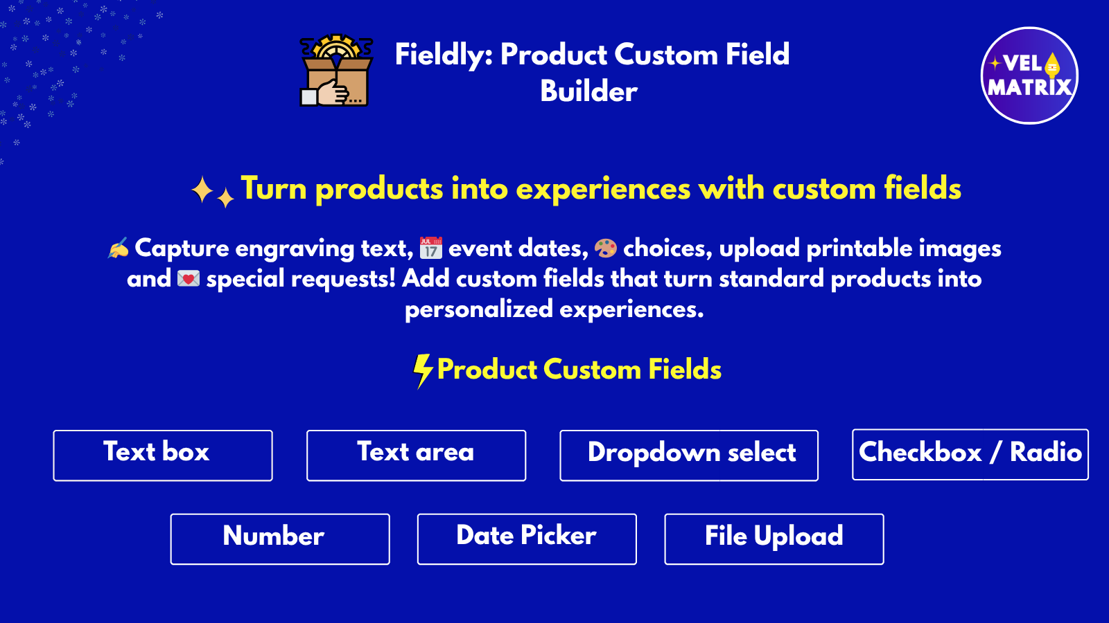 Custom product fields on Shopify product pages