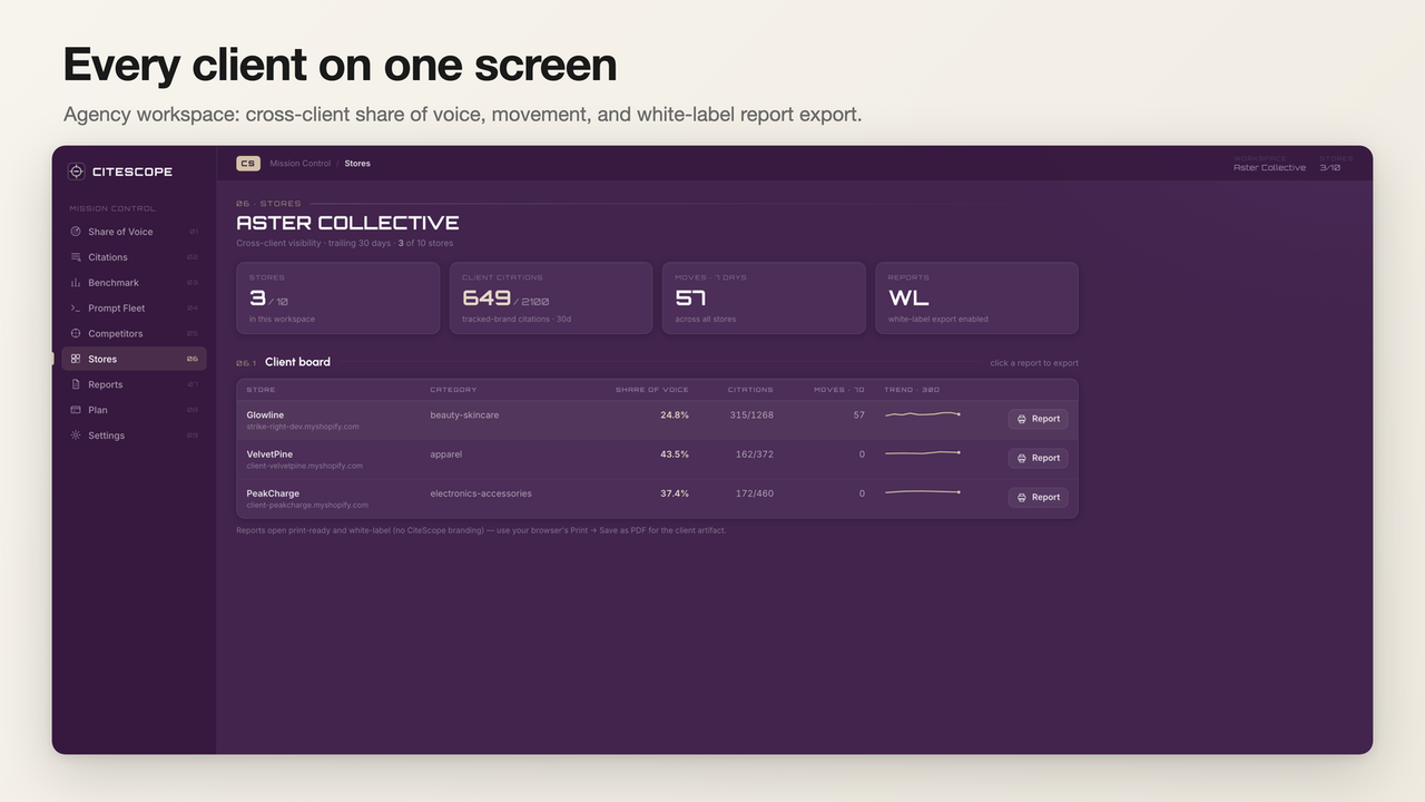 Run every client store's AI visibility from one login
