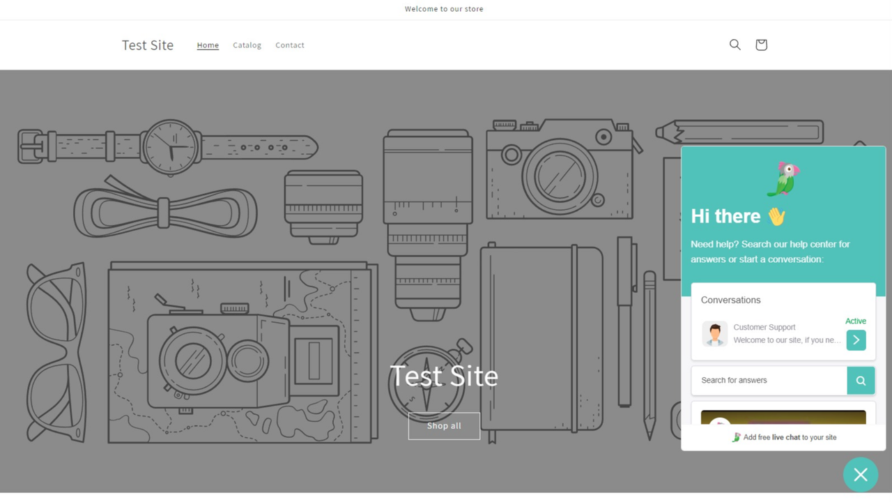Chat widget on store