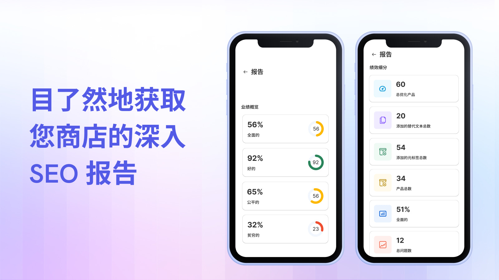 获取您的商店 SEO 报告