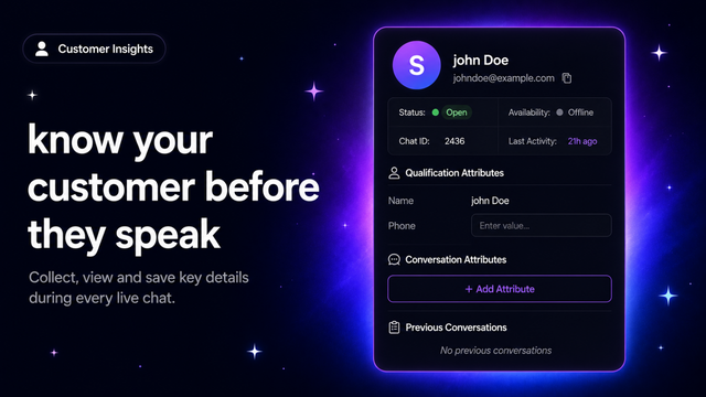 Customer insights panel showing live chat details