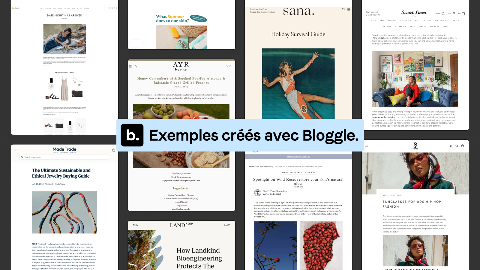 Exemples de blogs, créés avec Bloggle