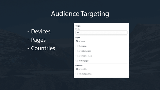 Audience Targeting