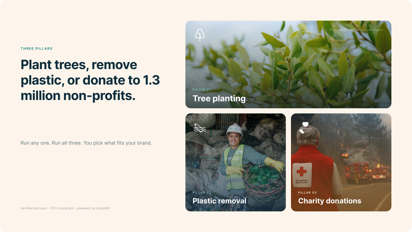 Plant trees, remove plastic, or donate to charities