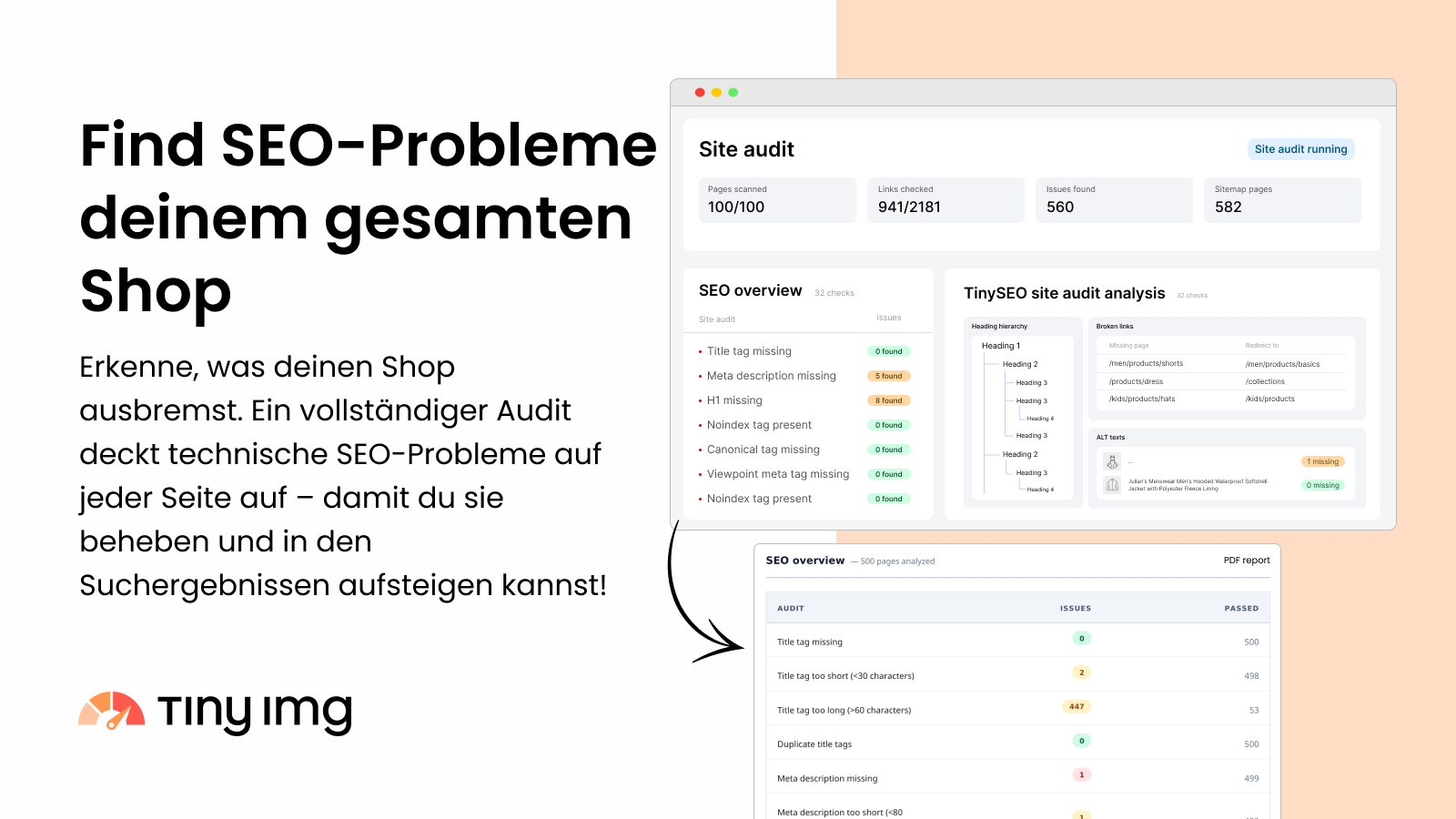 Run a complete audit for technical SEO issues across every page