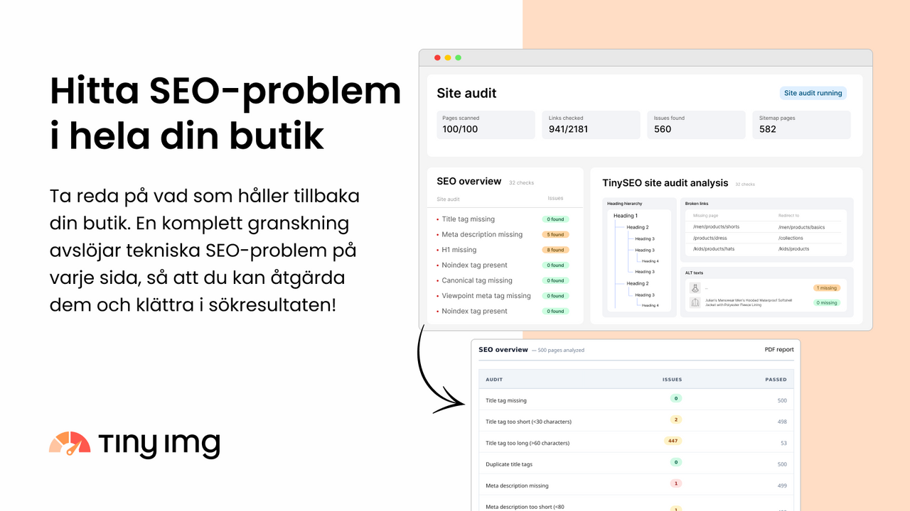 Run a complete audit for technical SEO issues across every page