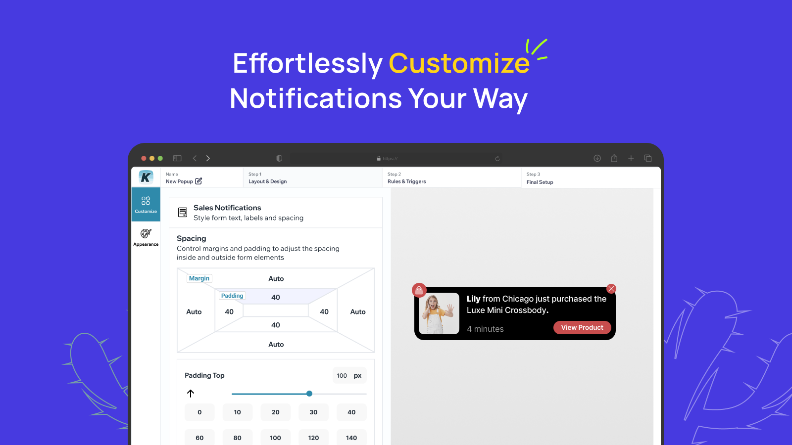 Customizer