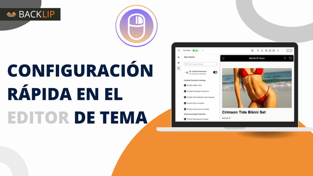 BL Content Protection-CONFIGURACIÓN RÁPIDA EN EL EDITOR DE TEMA