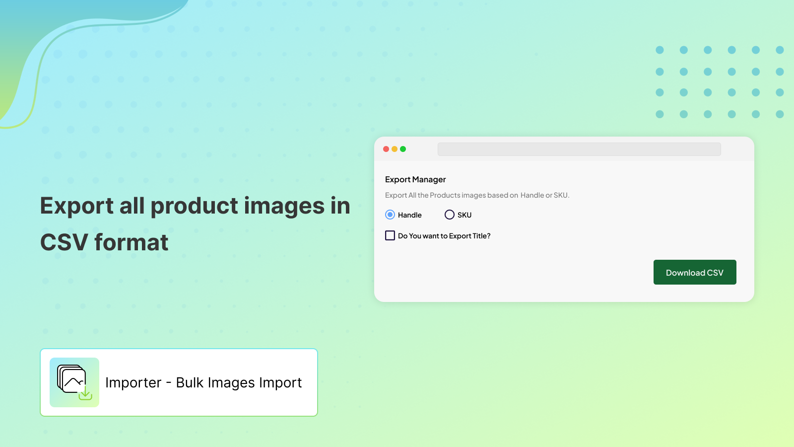 Image Export Manager