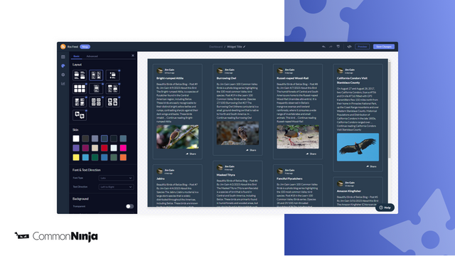 RSS Feed - Look & Feel