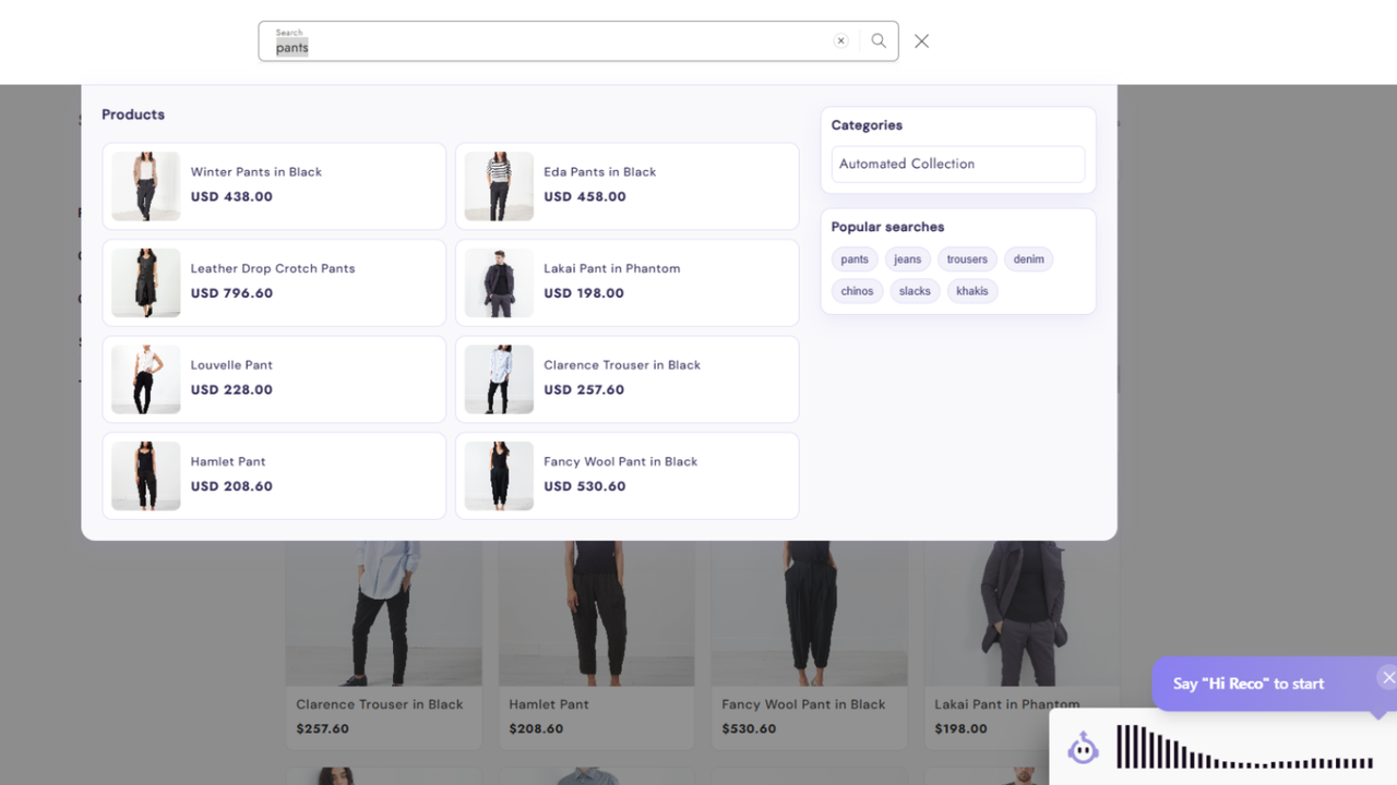 Recomdo AI enhanced site search suggestion popup