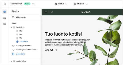 Verkkosivuston kohdesivu avoinna verkkokauppatyökalun käyttöliittymässä.