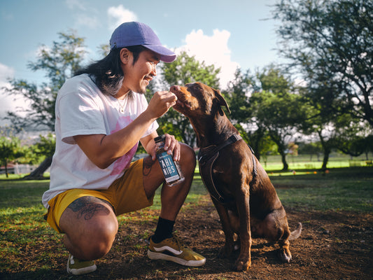 Personne avec un chien sortant de « Pet Plate »
