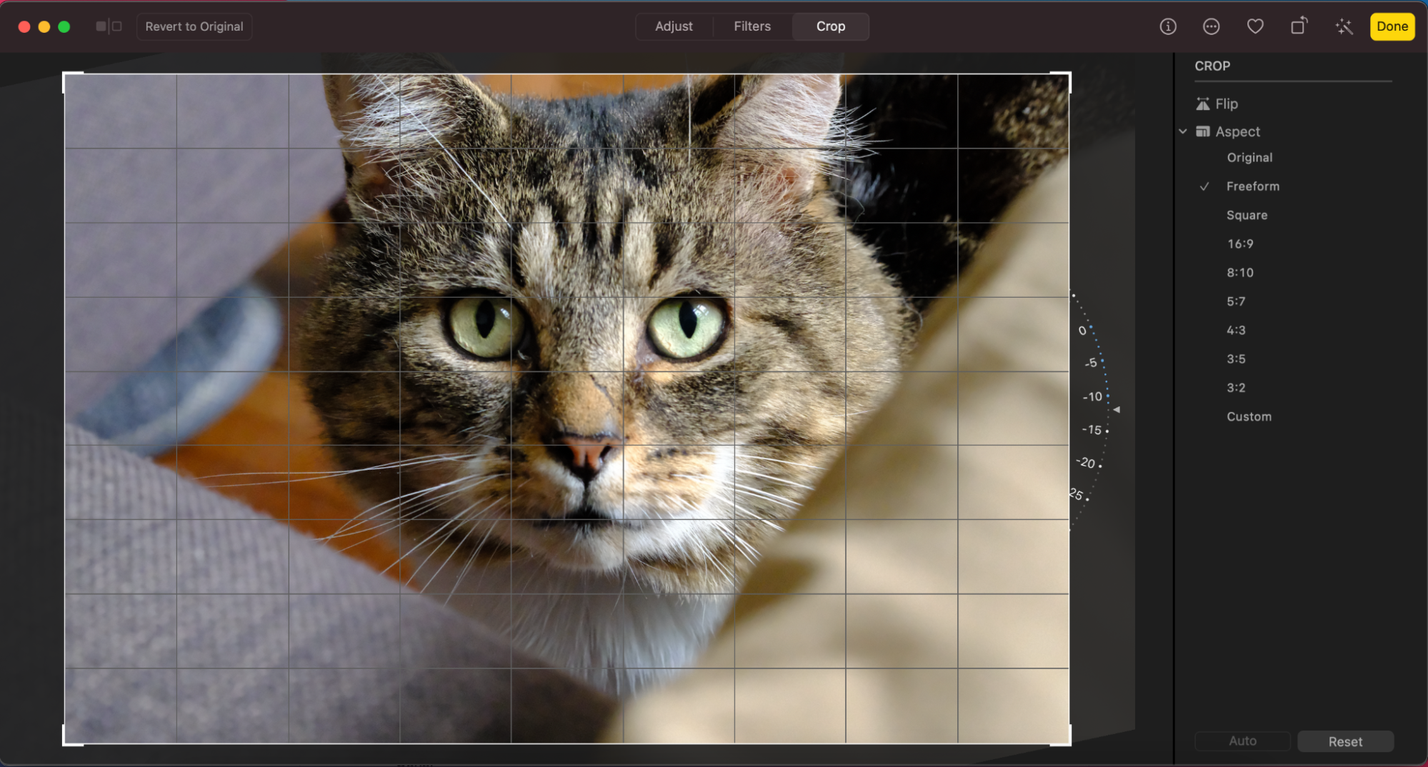 The Apple Photos straightening tool UI with an example image of a cat.