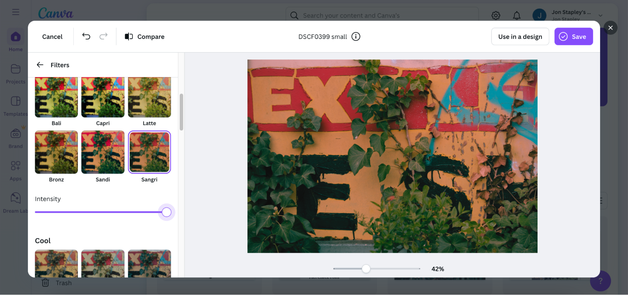 Canva Filters UI slider. Wall and plant photo with filters on left and image to manipulate on right.