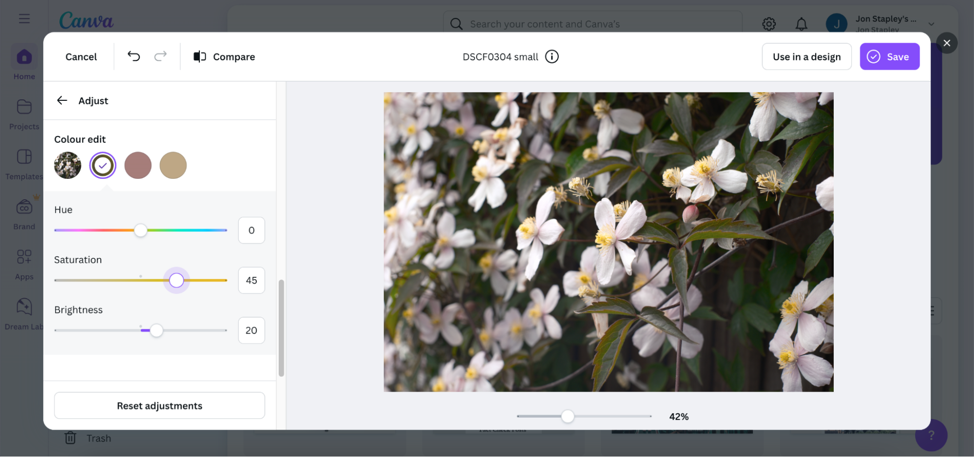 Canva’s color editor UI with sliders to adjust hue, saturation, brightness. Flower image on right.