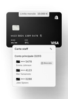 Viene visualizzata una carta di credito in un’interfaccia che suddivide le carte dello staff per dipartimento.