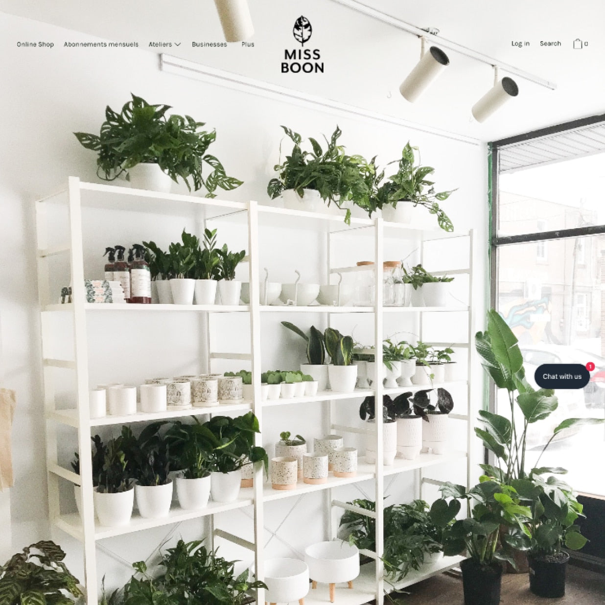 Plant website with a full-screen image overlaid with a horizontal menu navigation bar on the left, a logo in the center, and search and cart on the right.