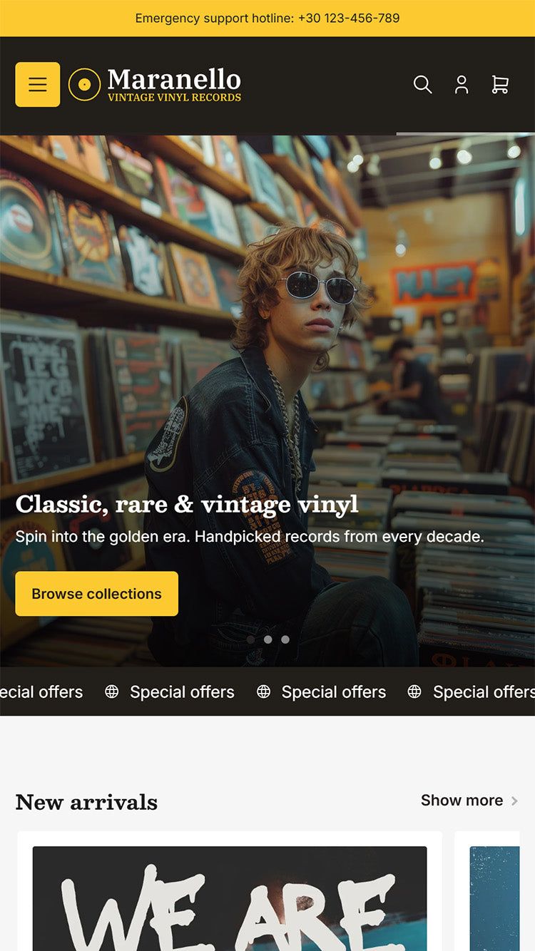 Theme screenshot that previews Records
