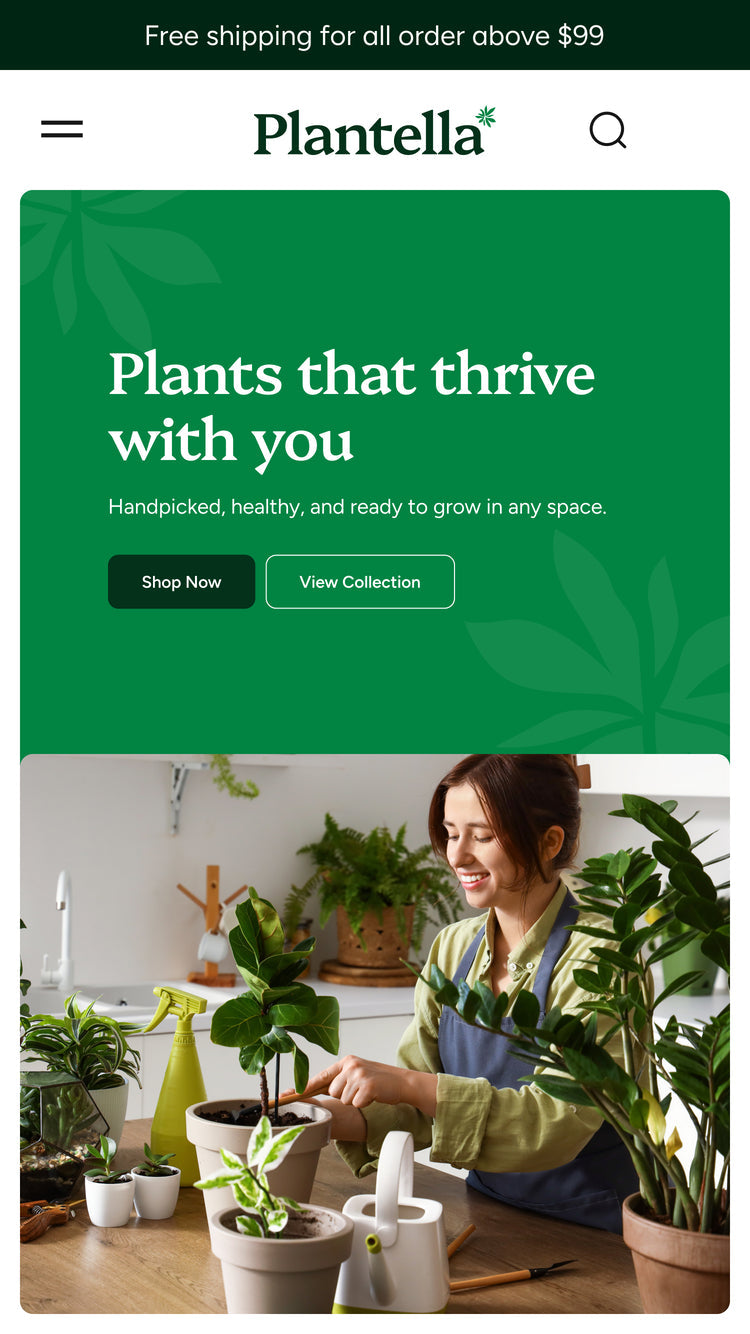 Capture d’écran de thème qui fournit un aperçu de Plantella